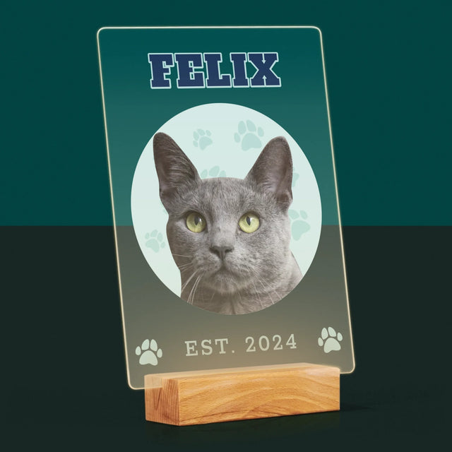 Ton Personnage: Ton Chat Varsity - Impression Sur Verre Acrylique