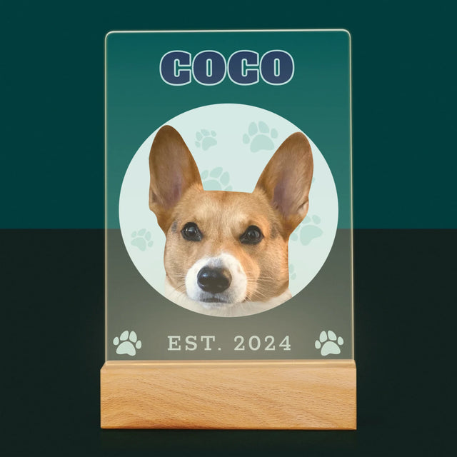 Ton Personnage: Ton Chien Varsity - Impression Sur Verre Acrylique