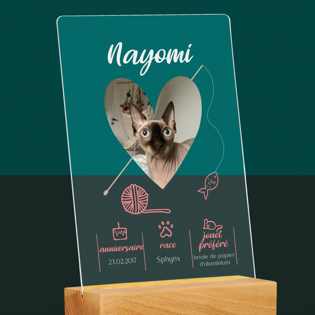 La Photo Et Un Texte: Chat Métrique - Impression Sur Verre Acrylique