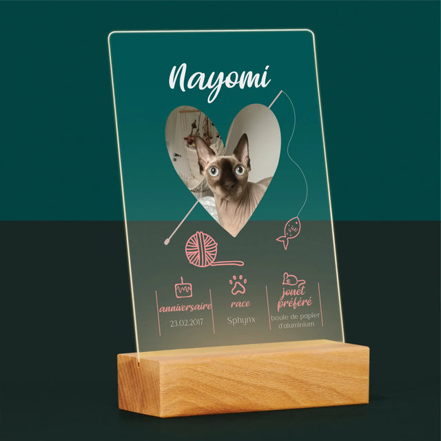 La Photo Et Un Texte: Chat Métrique - Impression Sur Verre Acrylique