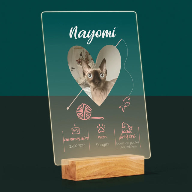 La Photo Et Un Texte: Chat Métrique - Impression Sur Verre Acrylique