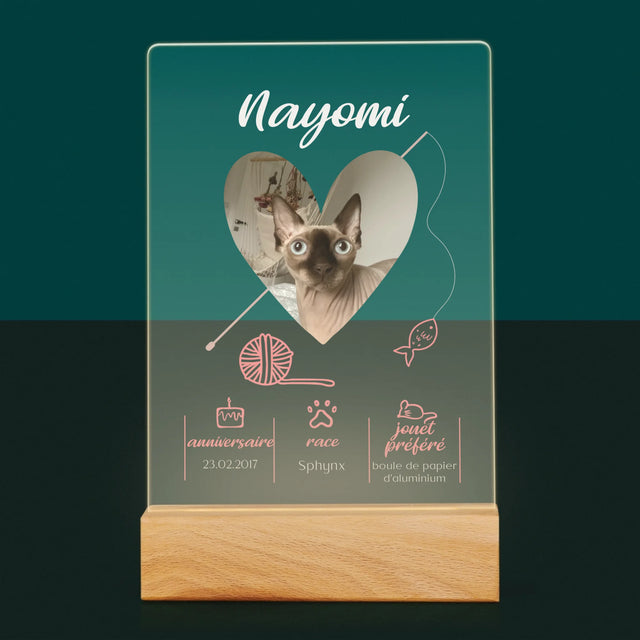 La Photo Et Un Texte: Chat Métrique - Impression Sur Verre Acrylique