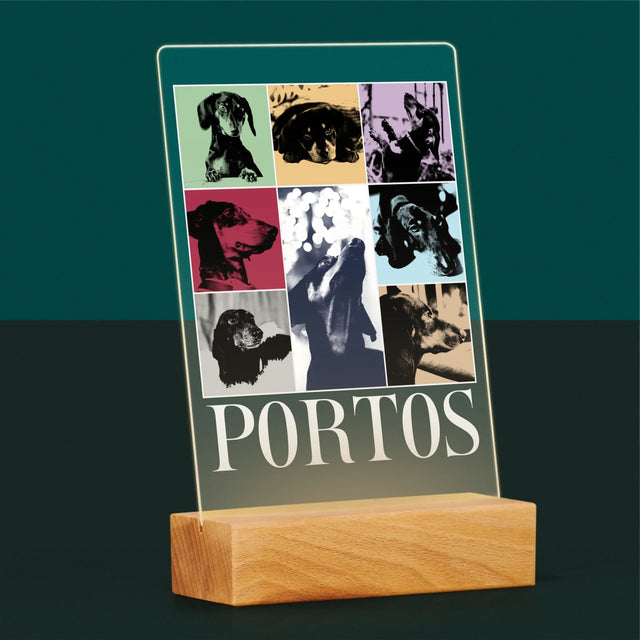 Le Collage Photo: L'Animal Comme Taylor - Impression Sur Verre Acrylique