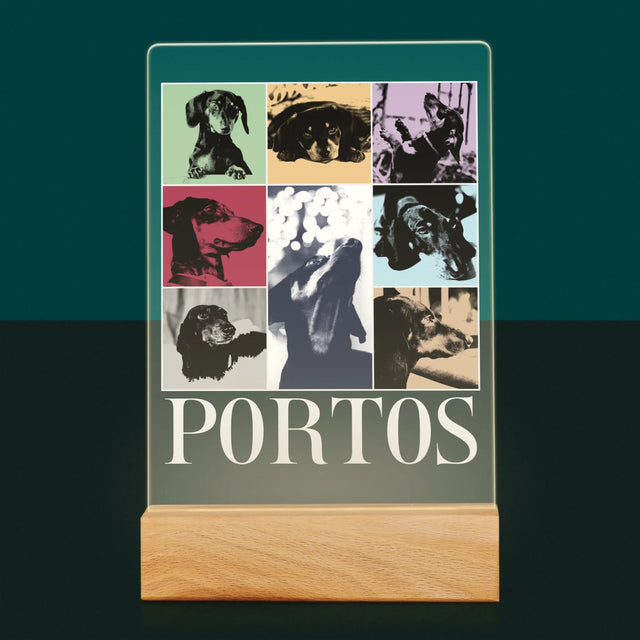 Le Collage Photo: L'Animal Comme Taylor - Impression Sur Verre Acrylique