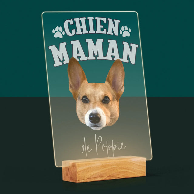 Ton Personnage: Chien Maman - Impression Sur Verre Acrylique