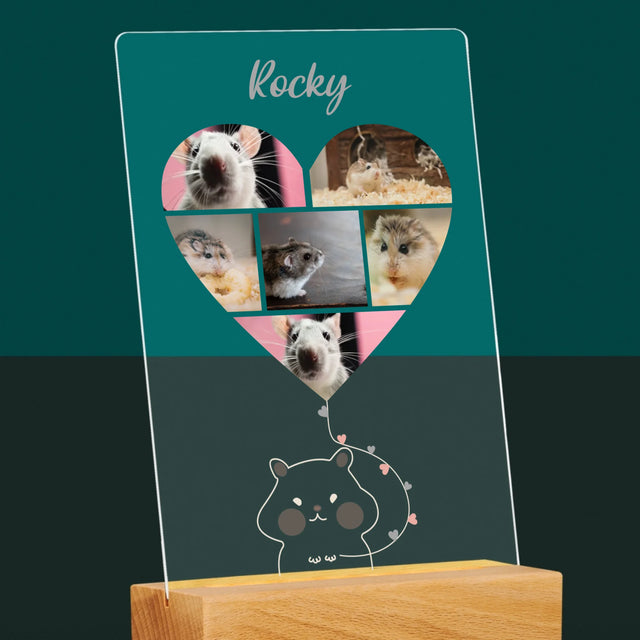 Le Collage Photo: Hamster - Impression Sur Verre Acrylique