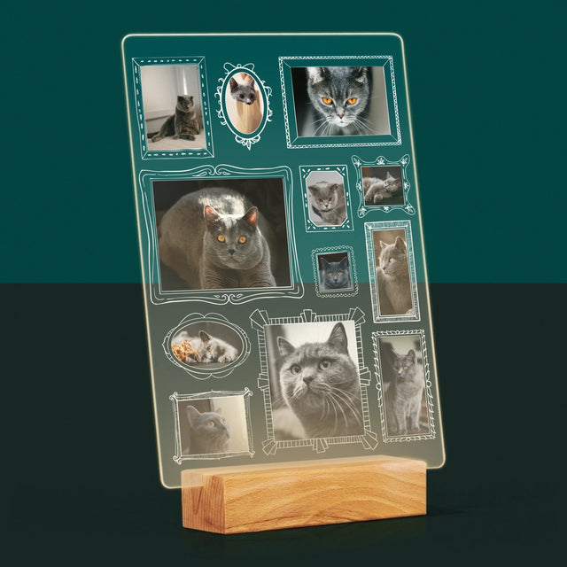 Le Collage Photo: Un Mur D'Exposition Avec Un Animal - Impression Sur Verre Acrylique