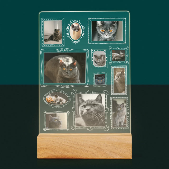 Le Collage Photo: Un Mur D'Exposition Avec Un Animal - Impression Sur Verre Acrylique