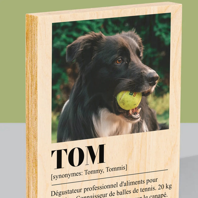 La Photo Et Un Texte: Animal, Définition - Impression Sur Bois
