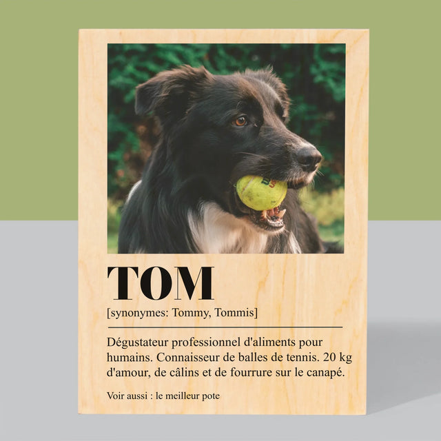 La Photo Et Un Texte: Animal, Définition - Impression Sur Bois