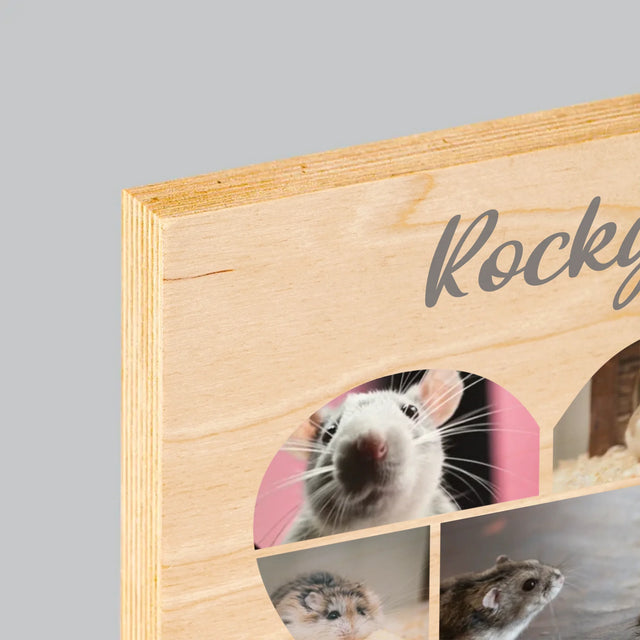 Le Collage Photo: Hamster - Impression Sur Bois