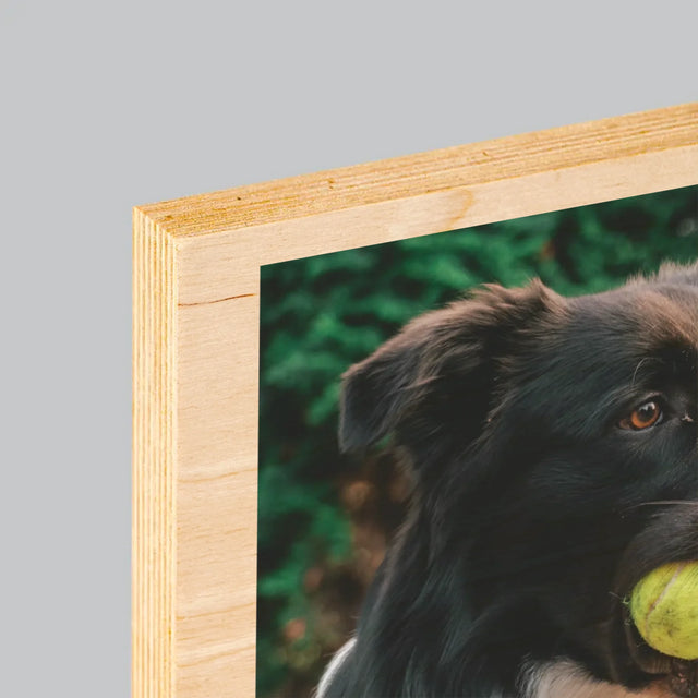 La Photo Et Un Texte: Animal, Définition - Impression Sur Bois