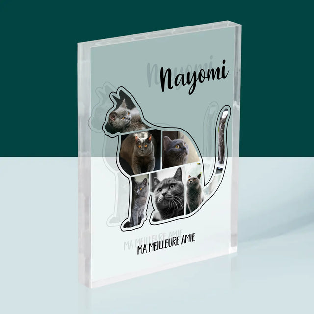 Forme Des Photos: Chat Le Meilleur Ami - Bloc Acrylique