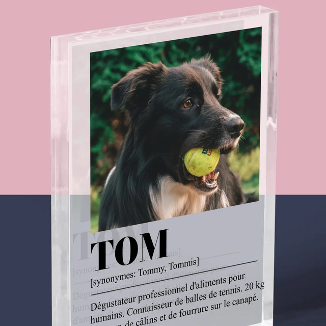 La Photo Et Un Texte: Animal, Définition - Bloc Acrylique