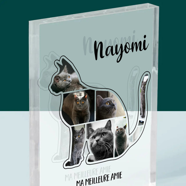 Forme Des Photos: Chat Le Meilleur Ami - Bloc Acrylique