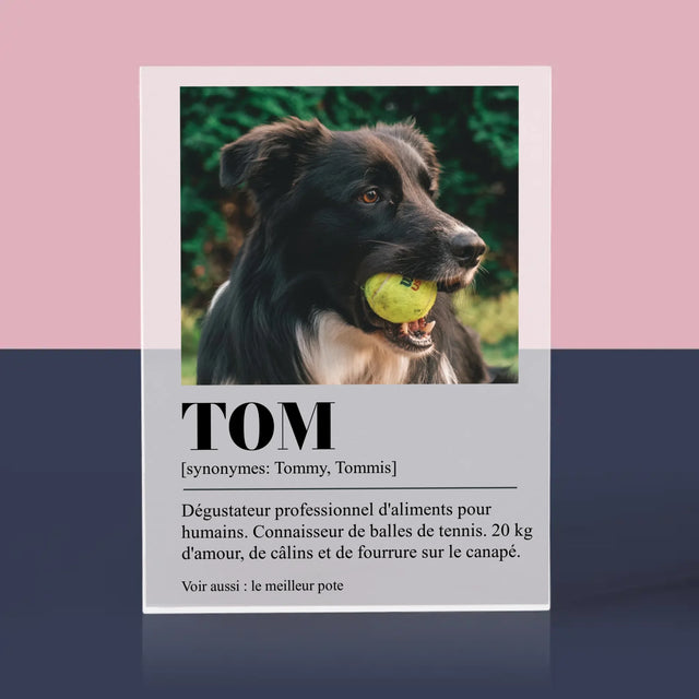 La Photo Et Un Texte: Animal, Définition - Bloc Acrylique