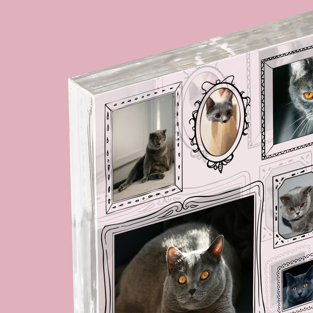 Le Collage Photo: Un Mur D'Exposition Avec Un Animal - Bloc Acrylique