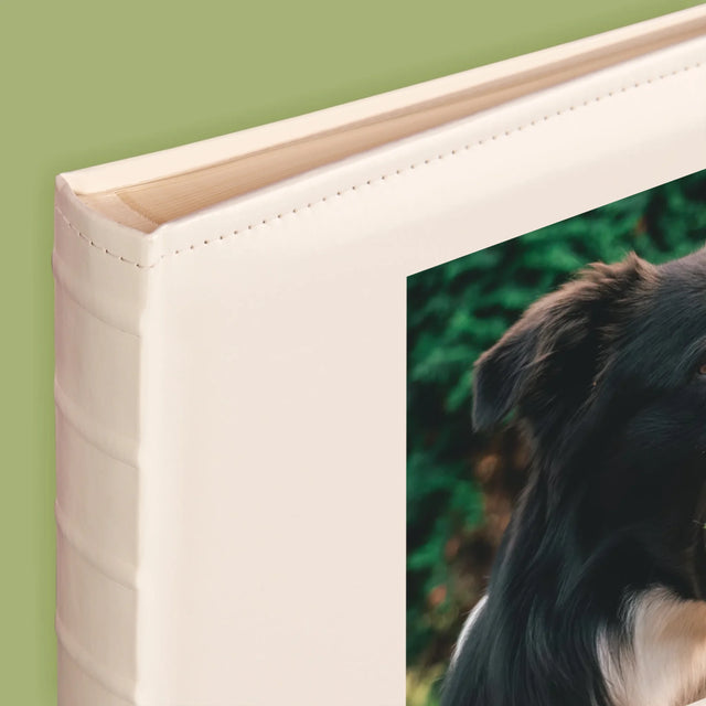 La Photo Et Un Texte: Animal, Définition - Album De Photos