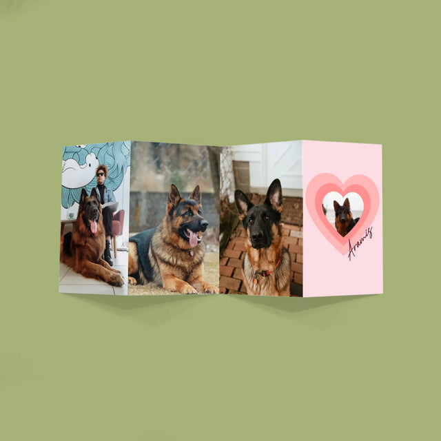 La Photo Et Un Texte: Photo De L'Animal Dans Le Cœur - Gros Harmonica