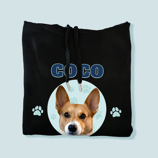 Ton Personnage: Ton Chien Varsity - Sweat À Capuche Pour Hommes