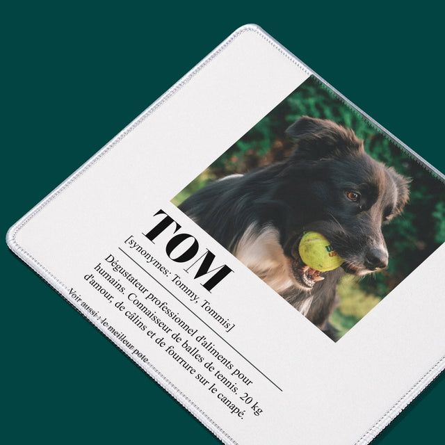 La Photo Et Un Texte: Animal, Définition - Tapis De Souris