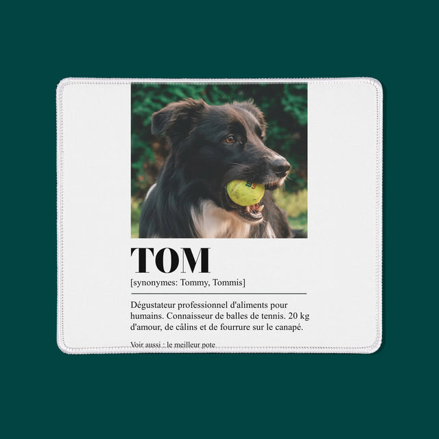 La Photo Et Un Texte: Animal, Définition - Tapis De Souris