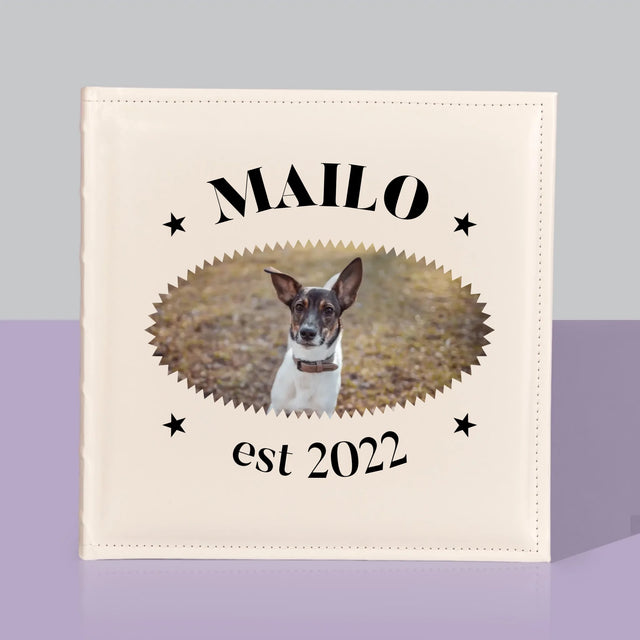 La Photo Et Un Texte: Chien Established - Album De Photos