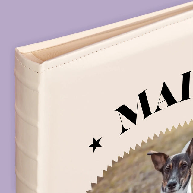 La Photo Et Un Texte: Chien Established - Album De Photos