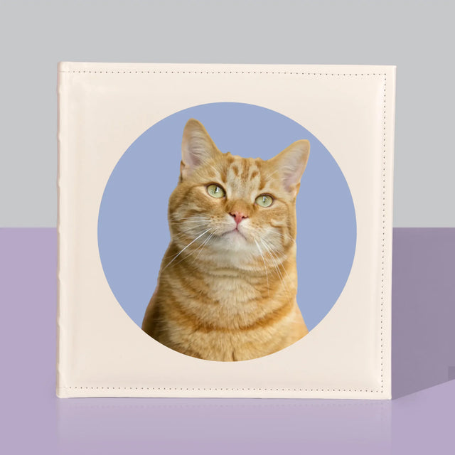 Photo: Ton Chat - Album De Photos