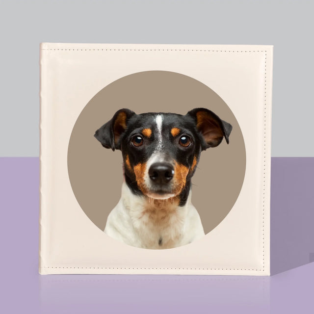 Photo: Ton Chien - Album De Photos