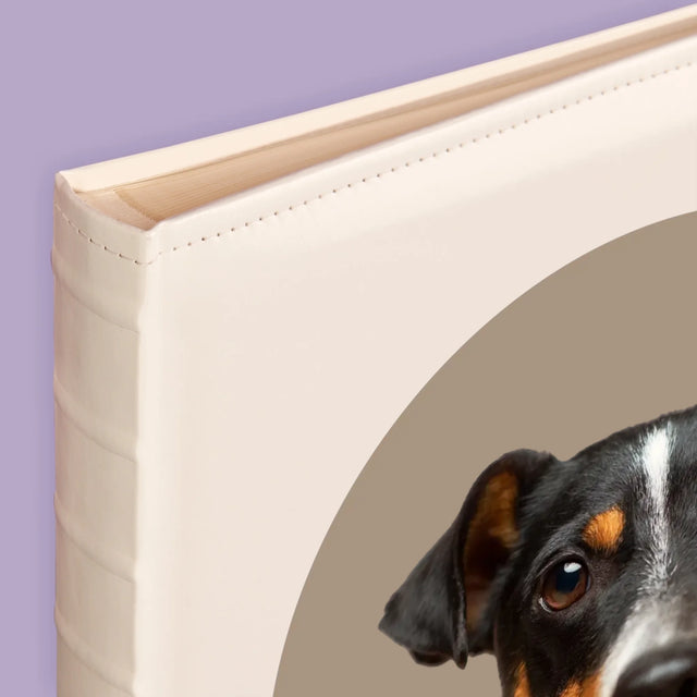 Photo: Ton Chien - Album De Photos