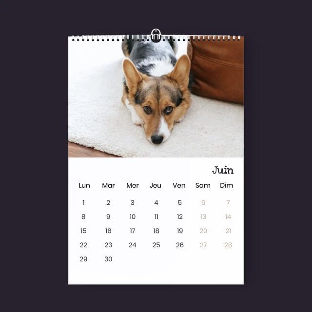 La Photo Et Un Texte: Animal De Compagnie Bien-Aimé - Calendrier Mural