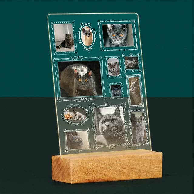 Le Collage Photo: Un Mur D'Exposition Avec Un Animal - Impression Sur Verre Acrylique