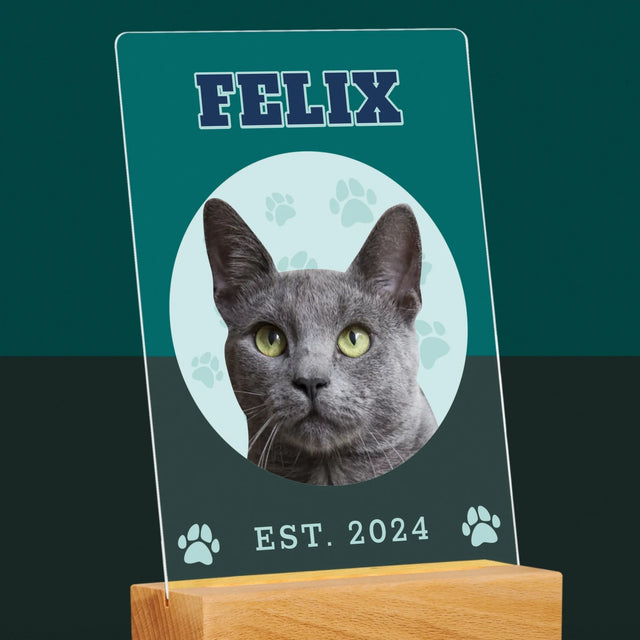 Ton Personnage: Ton Chat Varsity - Impression Sur Verre Acrylique