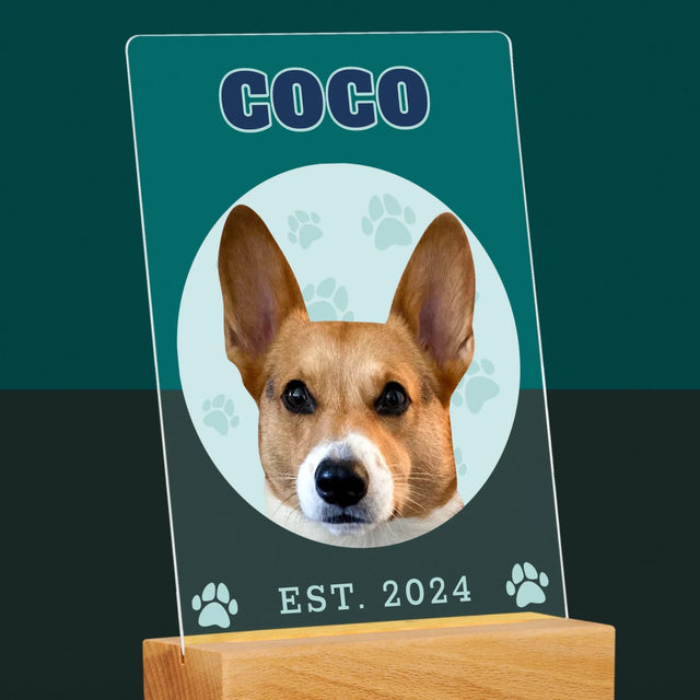Ton Personnage: Ton Chien Varsity - Impression Sur Verre Acrylique
