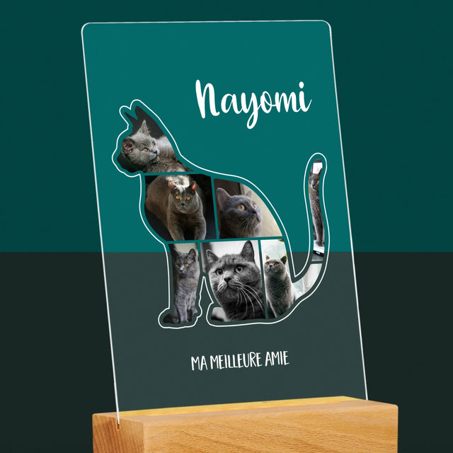 Forme Des Photos: Chat Le Meilleur Ami - Impression Sur Verre Acrylique