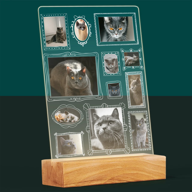 Le Collage Photo: Un Mur D'Exposition Avec Un Animal - Impression Sur Verre Acrylique