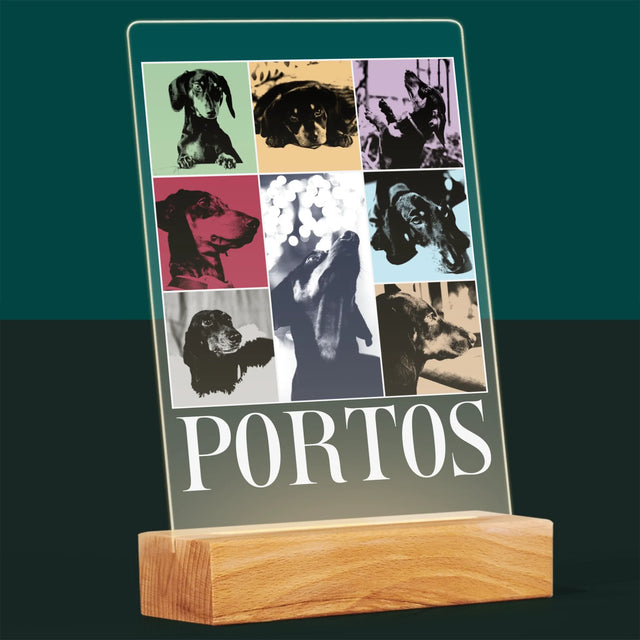 Le Collage Photo: L'Animal Comme Taylor - Impression Sur Verre Acrylique