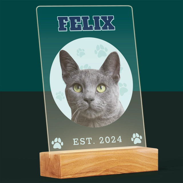 Ton Personnage: Ton Chat Varsity - Impression Sur Verre Acrylique