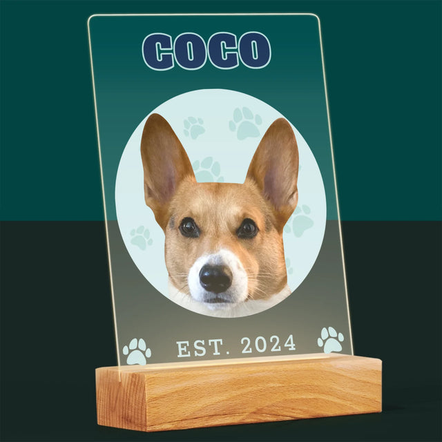 Ton Personnage: Ton Chien Varsity - Impression Sur Verre Acrylique
