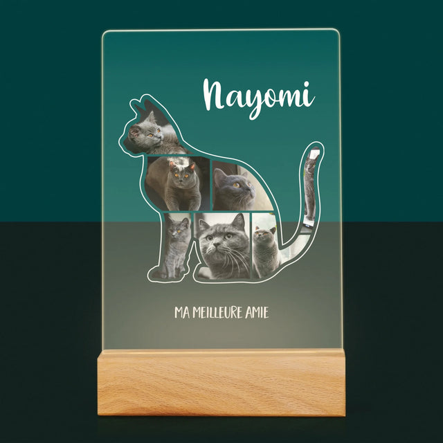 Forme Des Photos: Chat Le Meilleur Ami - Impression Sur Verre Acrylique