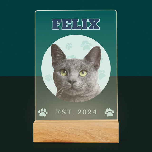 Ton Personnage: Ton Chat Varsity - Impression Sur Verre Acrylique