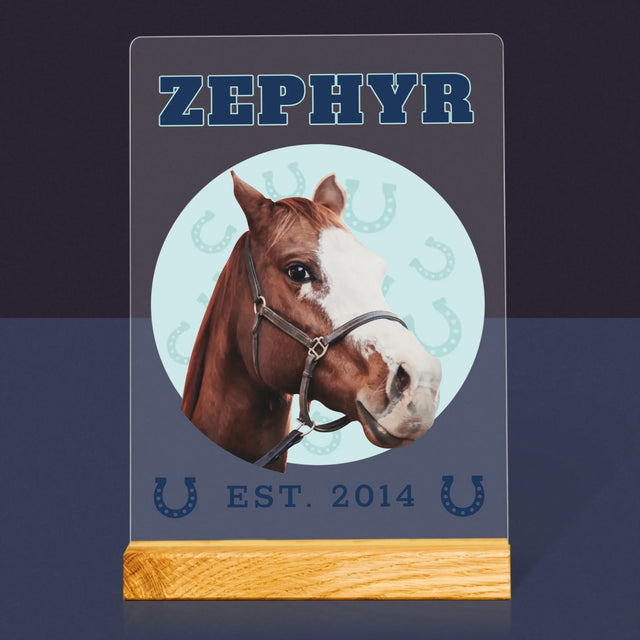 Ton Personnage: Ton Cheval Varsity - Impression Sur Verre Acrylique