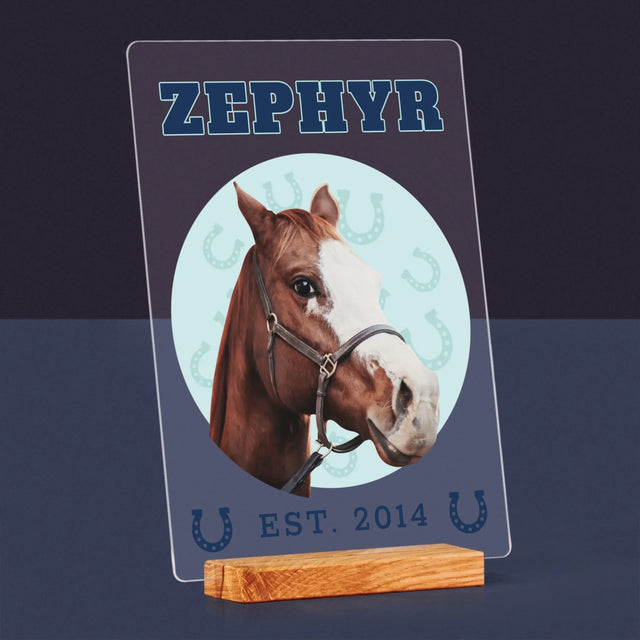 Ton Personnage: Ton Cheval Varsity - Impression Sur Verre Acrylique