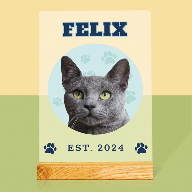 Ton Personnage: Ton Chat Varsity - Impression Sur Verre Acrylique