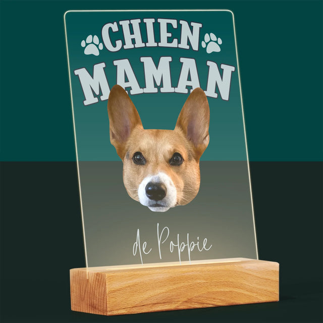 Ton Personnage: Chien Maman - Impression Sur Verre Acrylique