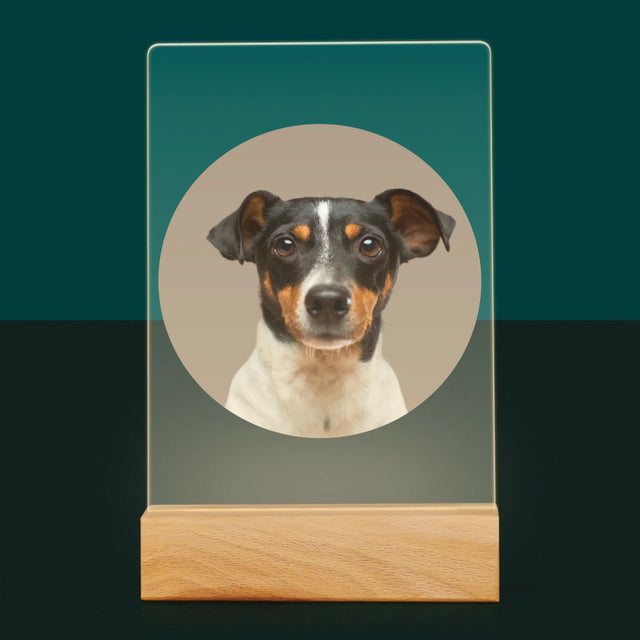 Photo: Ton Chien - Impression Sur Verre Acrylique