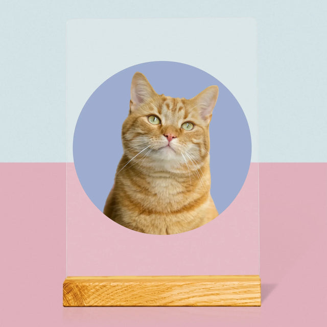 Photo: Ton Chat - Impression Sur Verre Acrylique