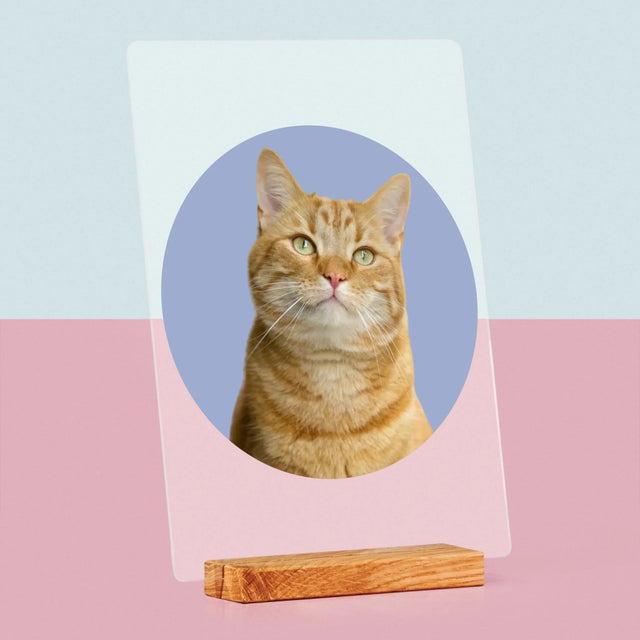 Photo: Ton Chat - Impression Sur Verre Acrylique