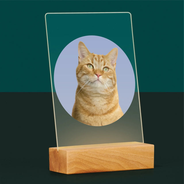 Photo: Ton Chat - Impression Sur Verre Acrylique